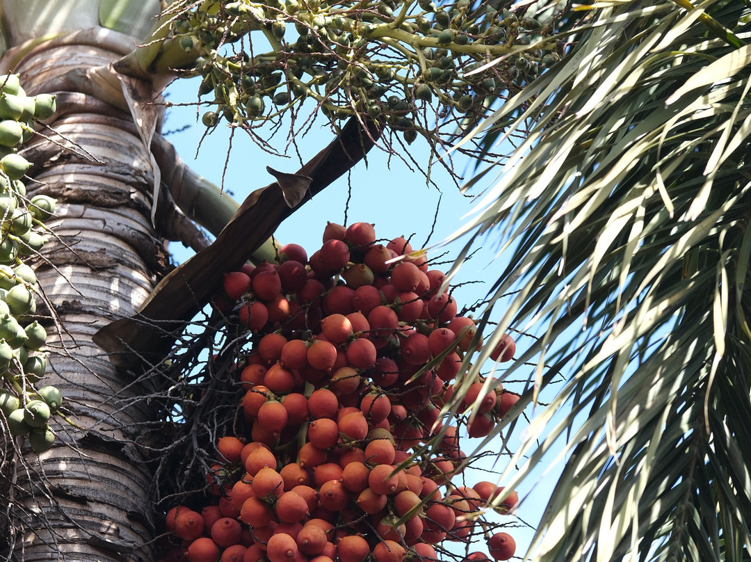 Villa Merida Boutique Hotel主图