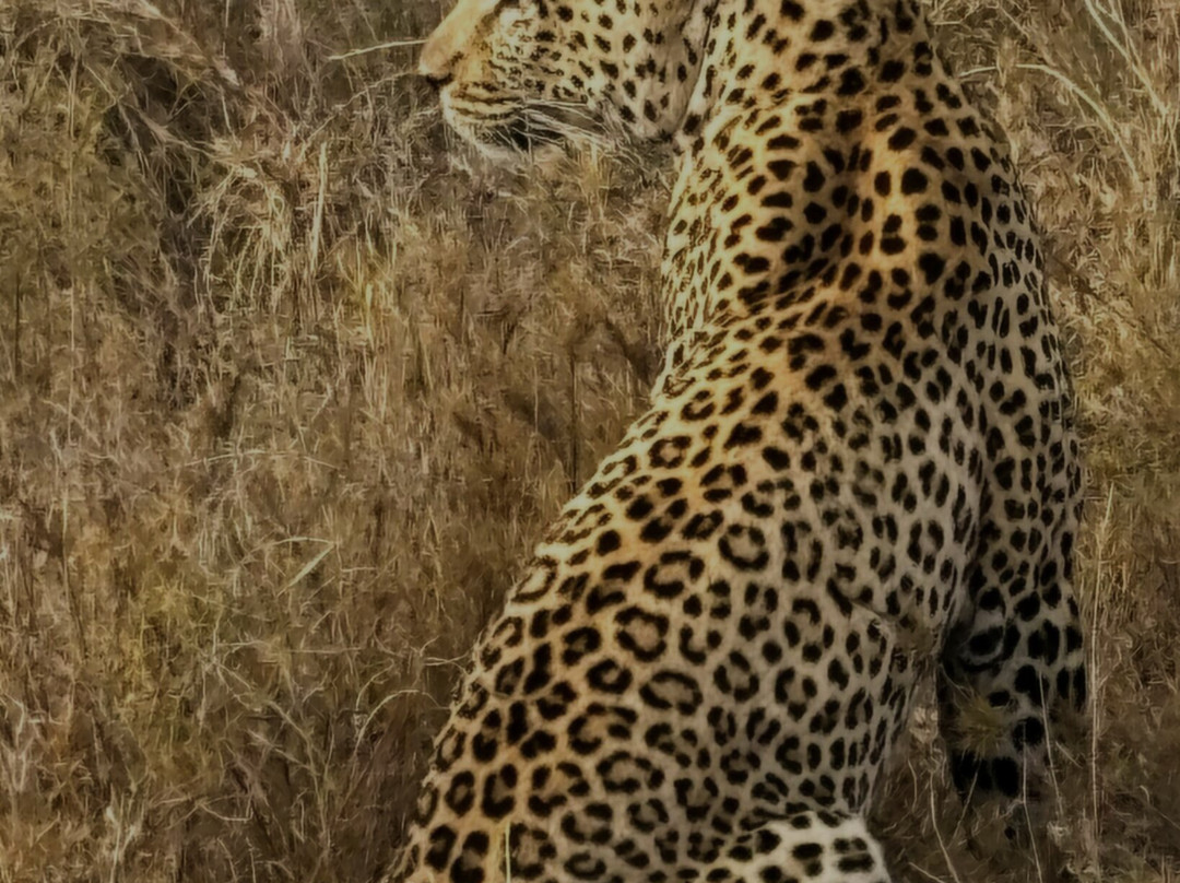 Caracal Tours & Safaris-莫西必去景点