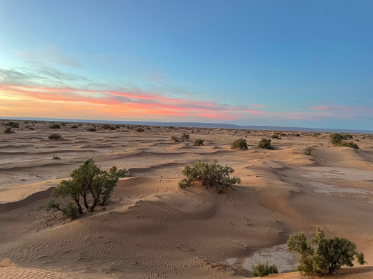 Mélodie du désert-迈哈米德必去景点