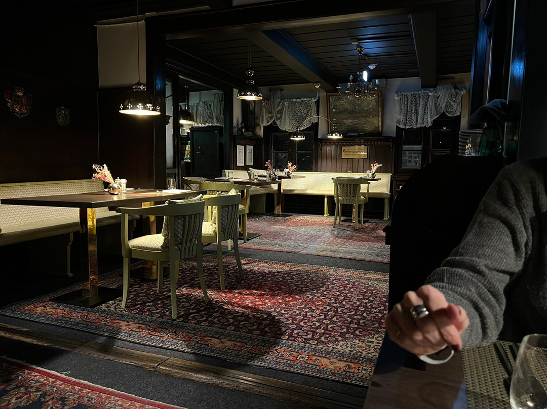 佐尔阿特恩普斯特酒店主图