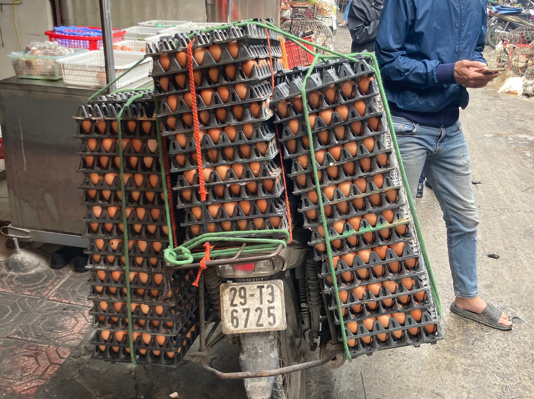 Asiatica Travel-河内必去景点