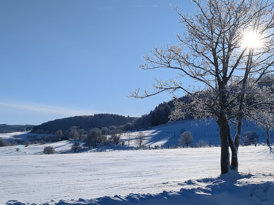 Ski Resort Willingen-Willingen必去景点