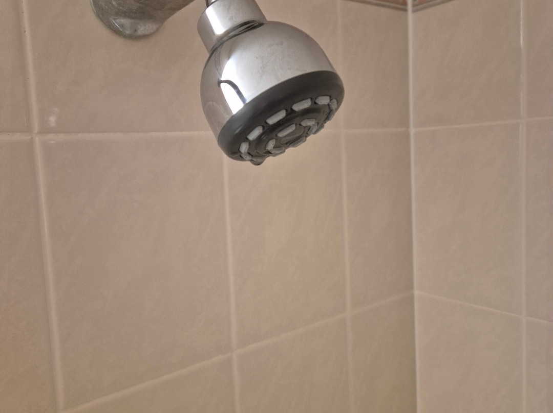 斯塔福德温德姆戴斯酒店主图