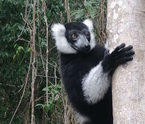 Nosy Be Tour Con Rico Aime-Hell-Ville必去景点