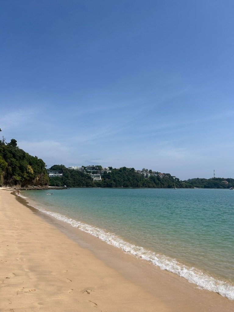 攀瓦红树林-官方