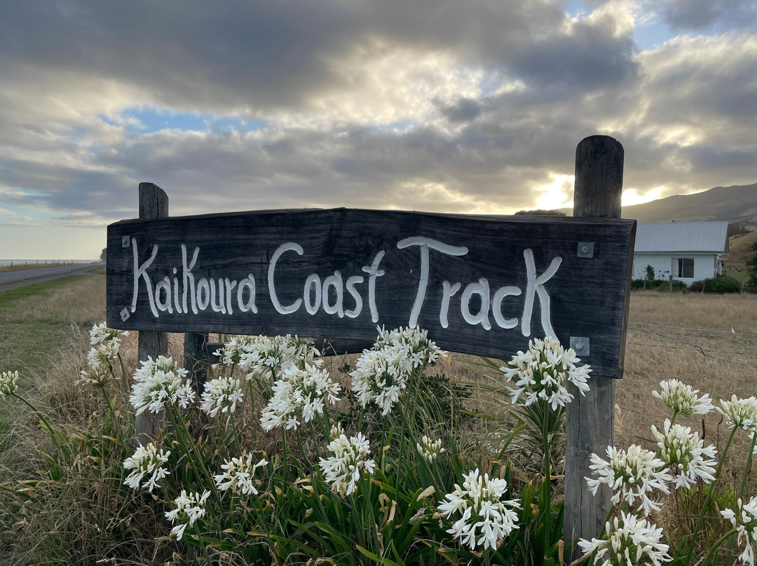 Kaikoura Coastal Track-Kaikoura必去景点
