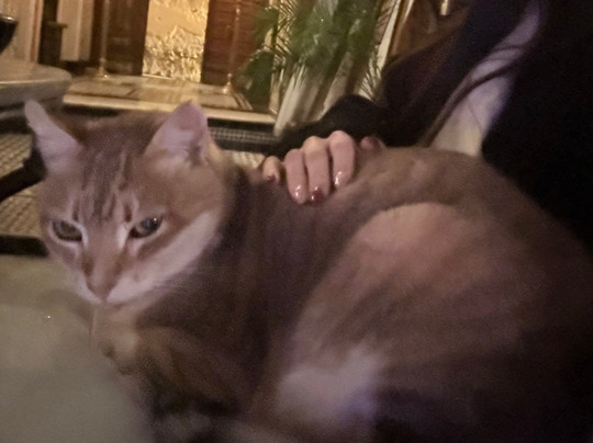 Kassr Annoujoum Ducci Foundation-非斯必去景点