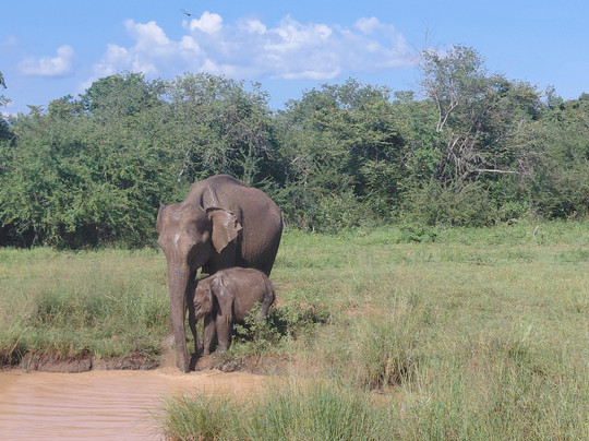 I and U Tours-Ganemulla必去景点