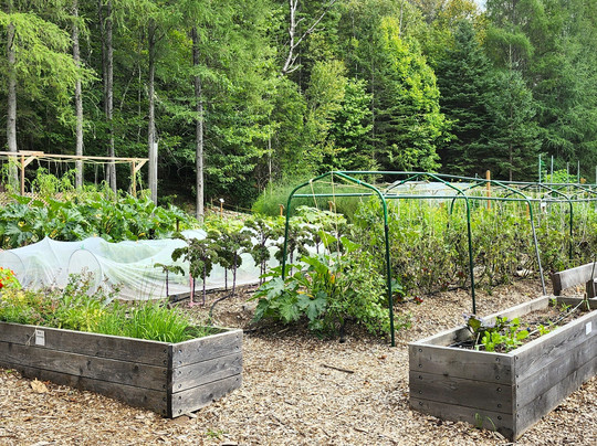 Parc Du Brûlé-Lac-Beauport必去景点