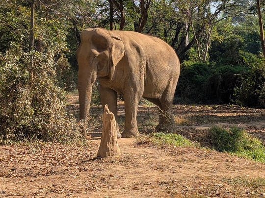 Somboon Legacy Foundation-Klon Do必去景点