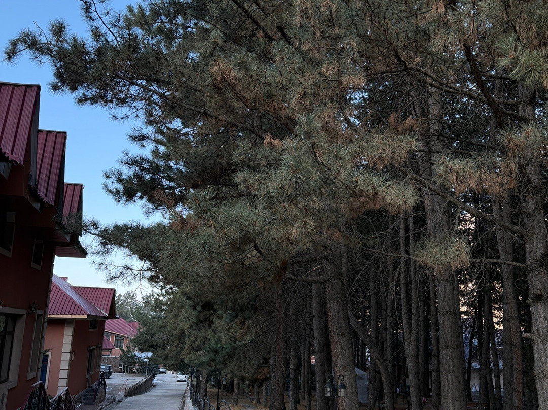 Archazor Mountain Resort主图