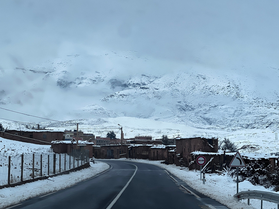 Oasis Desert Tours-卡萨布兰卡必去景点