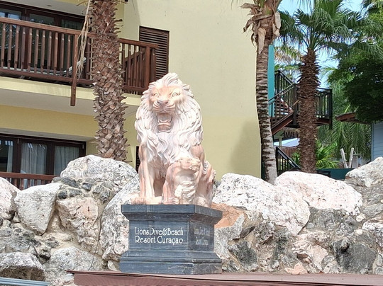 Mambo Beach-库拉索必去景点