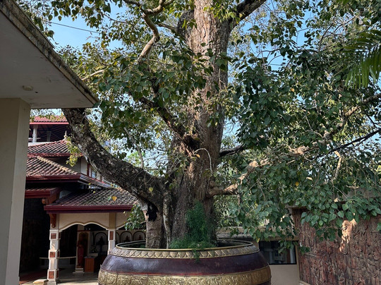 Sri Vijayarama Viharaya-Ambalangoda必去景点