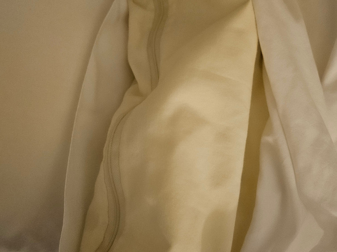 阿拉梅达奥克兰机场希尔顿惠庭酒店主图