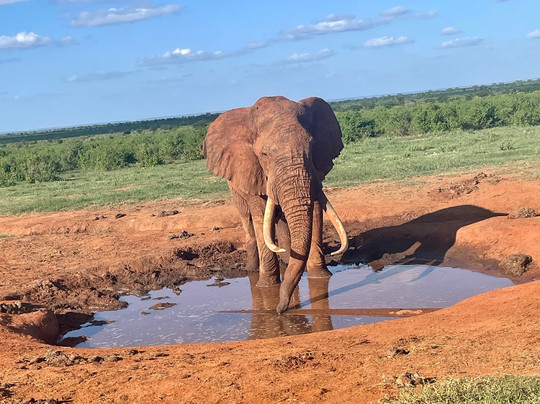 Safari In Kenya Con Matteo-瓦塔木必去景点