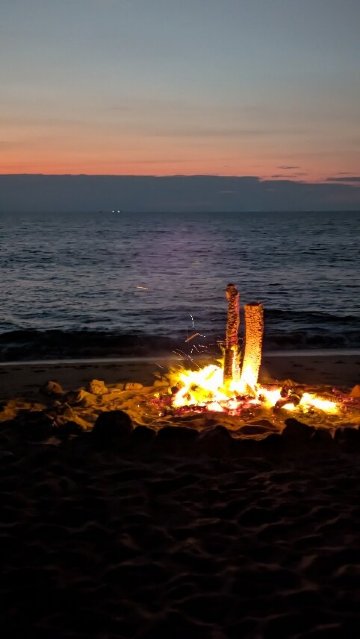 金佛海滩度假村-官方