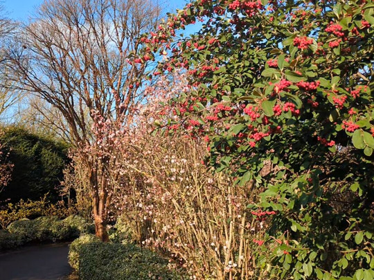 安格尔西修道院-Lode必去景点