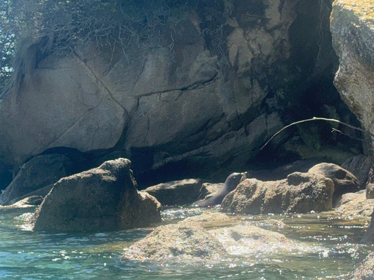 ZigZag Tours NZ-新普利默斯必去景点