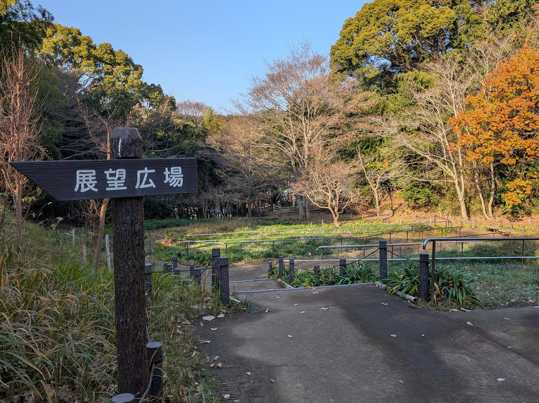 Radiant Flower Hill Park-二宫町必去景点