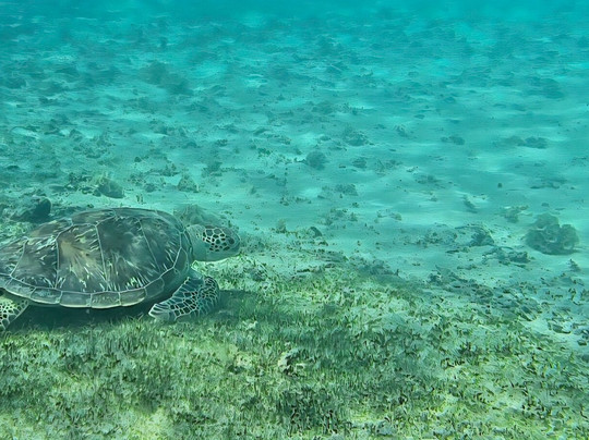 Karlos Excursions-莫纳山必去景点