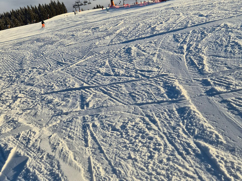 埃里卡漫游酒店主图