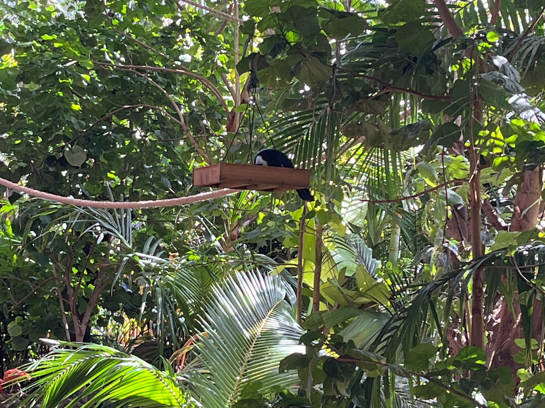 SeaWorld Yas Island Abu Dhabi-阿布扎比必去景点