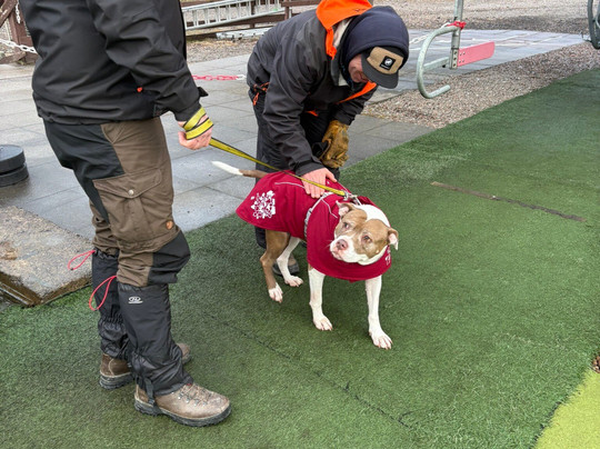 Glencoe Mountain Resort-Glencoe Village必去景点