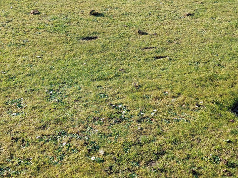 Golfclub Midden-brabant-Esbeek必去景点