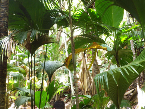 Mason's Travel-维多利亚必去景点