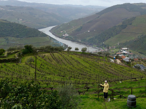 Portugal By Heart-波尔图必去景点