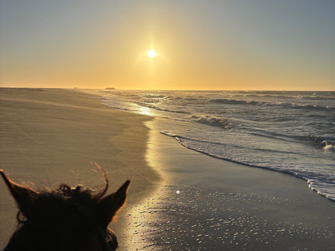 Ranch Des Dunes-达赫拉必去景点