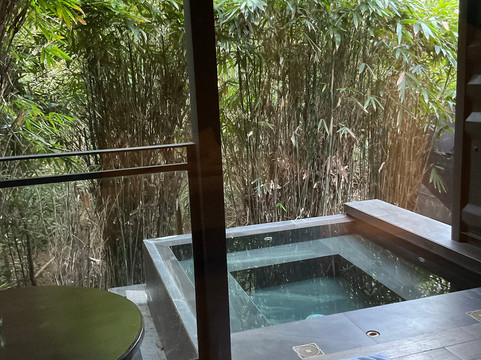 科隆有趣狮子酒店主图