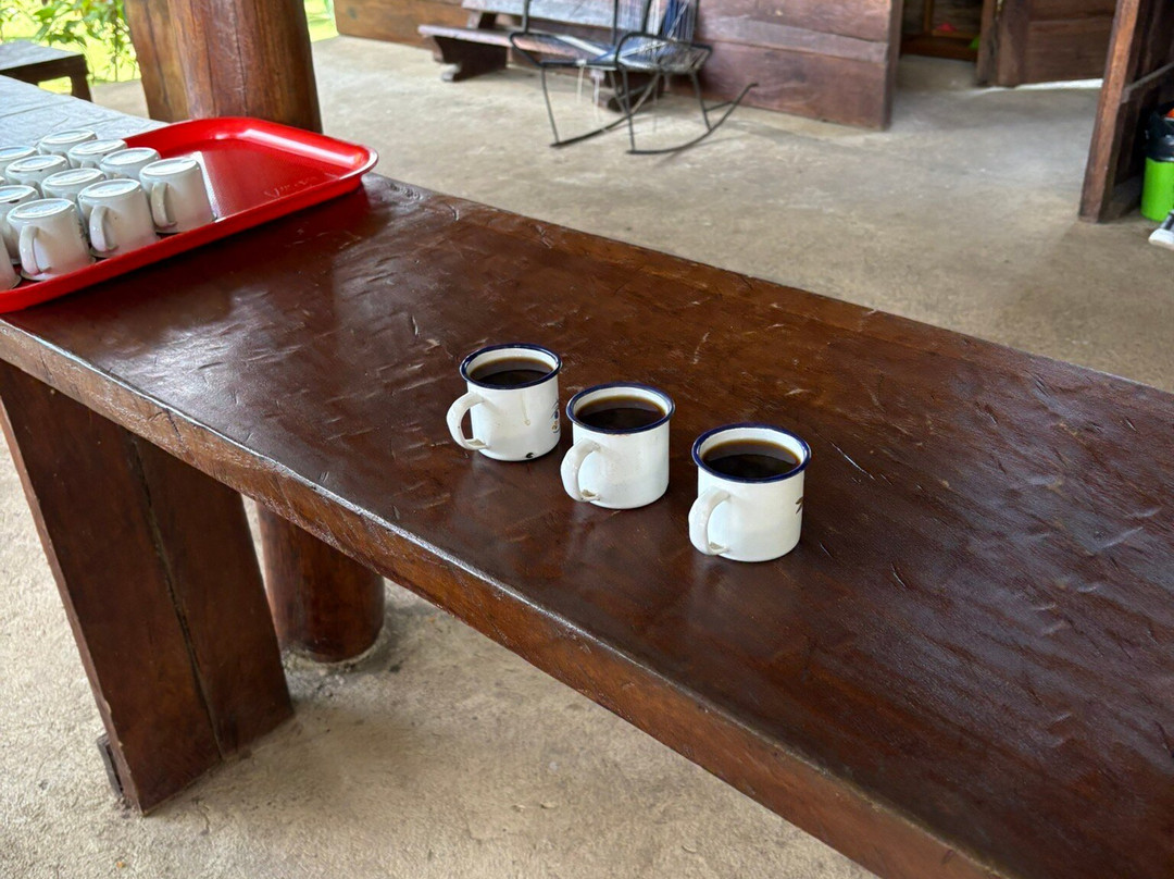 Costa Rica Eco Journeys-利比里亚必去景点