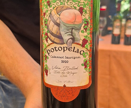 Viña Ballek-Isla de Maipo必去景点