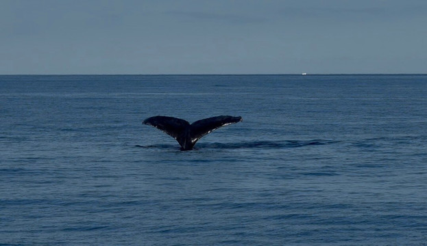 Adventure X Boat Tours-卡慕也拉必去景点