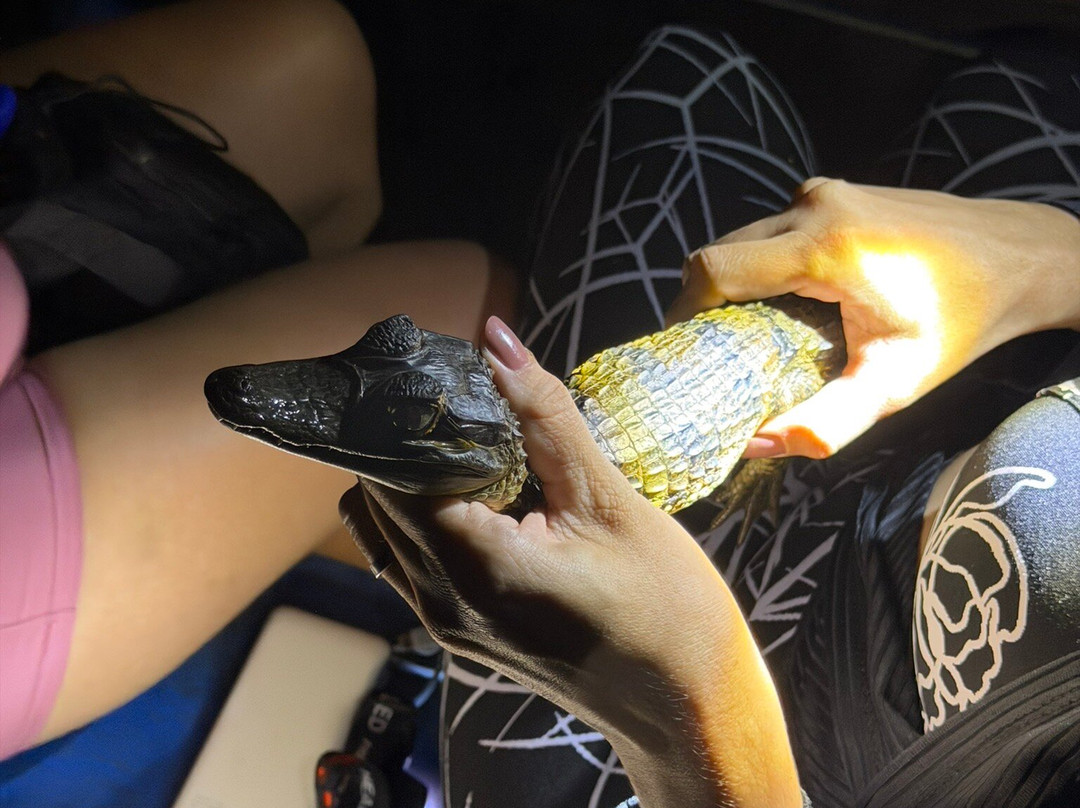 Amazon Amazing Tours-玛瑙斯必去景点