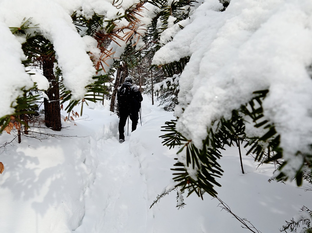 Parc regional de la Foret Ouareau-Notre-Dame-de-la-Merci必去景点