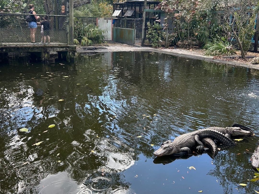 The Wonder Gardens-博尼塔斯普林斯必去景点