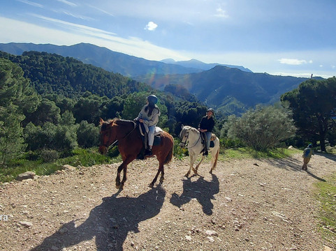 Horse Riding El Chorro-El Chorro必去景点