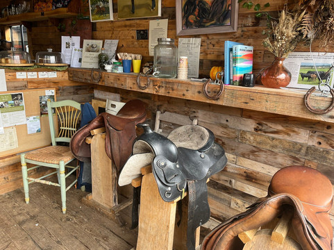 Westerlands-Graffham必去景点