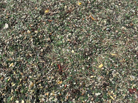 Sea Glass Tours Aruba Powered by Tranquilo Charters N.V.-萨瓦内塔必去景点