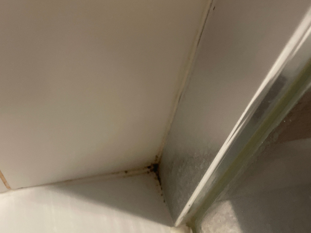 瓦尔布维尔贝斯特韦斯特优质酒店主图