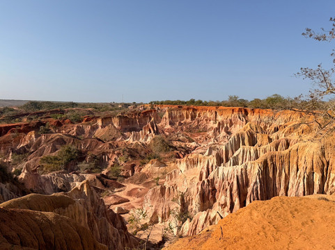 Kenya Safaris con Beka Day Tours-瓦塔木必去景点