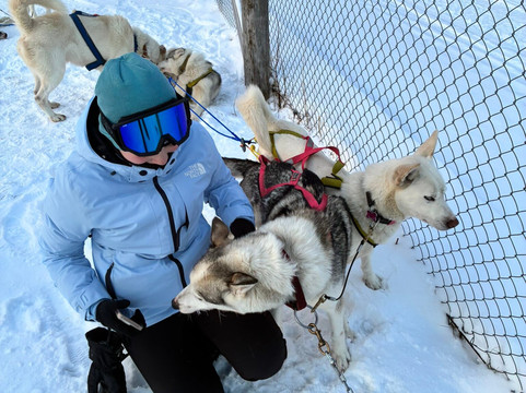 Pirate Husky-Borselv必去景点