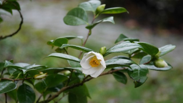 刈草农场酒店-官方