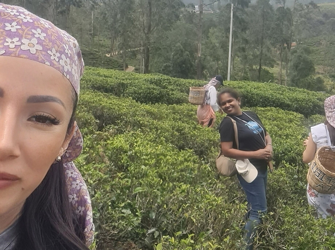 Ceylon Voyageur-Gampaha必去景点