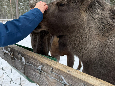 Varmlands Moose Park-Eksharad必去景点