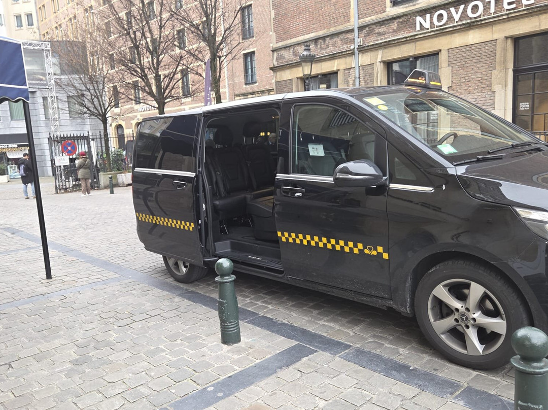 Airport Driver-布鲁塞尔必去景点