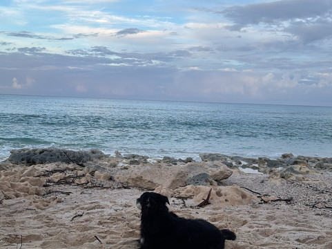 Bahamas Out Island Adventures-Gregory Town必去景点